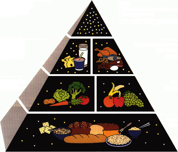 the food pyramid